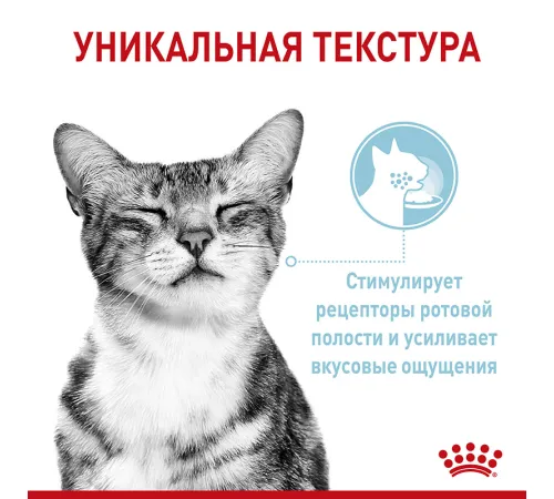 Royal Canin Sensory Feel (соус) 85 г