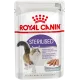 Royal Canin Sterilised (паштет) 85 гр