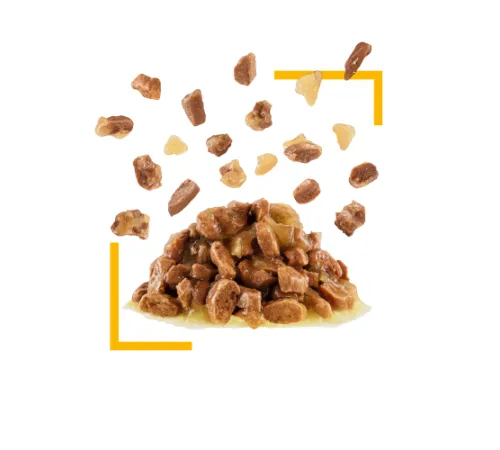 Royal Canin Sensory Taste (желе) 85 г