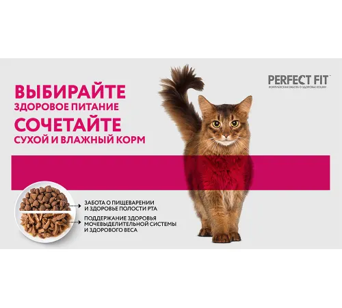 Perfect Fit для кошек с чувствительным пищеварением (Индейка в соусе) 75 г