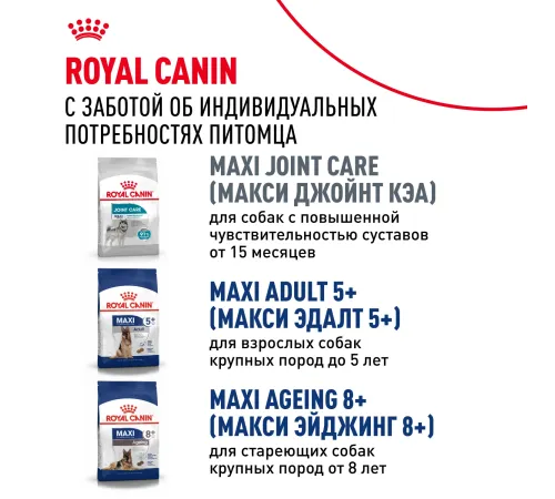 Royal Canin Maxi Adult, 3 кг