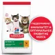 Hill's Science Plan для котят для здорового роста и развития (курица) 7 кг