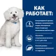 Hill's Prescription Diet k/d Early Stage для собак, 1,5 кг