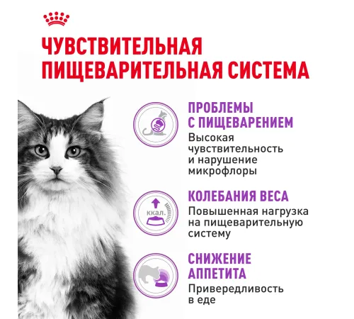Royal Canin Sensible 33, 200 г