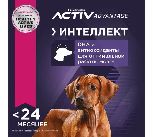 Eukanuba Puppy Large Breed (Птица), 3 кг
