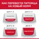 Hill's Science Plan для котят для здорового роста и развития (курица) 7 кг
