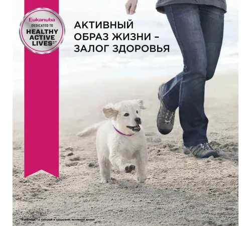 Eukanuba Puppy Medium Breed (Птица), 800 г