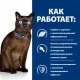 Hill's Prescription Diet m/d Diabetes для кошек, с курицей 1,5 кг