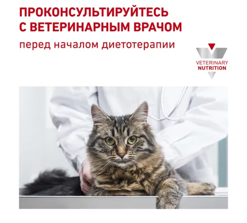 Royal Canin Skin & Coat Feline 85 г
