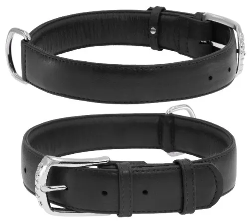 Collar Ошейник 