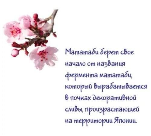 Мататаби Интерес к игрушкам, 1 г