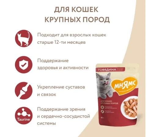 Мнямс для крупных кошек Кусочки в соусе с говядиной, 85 г