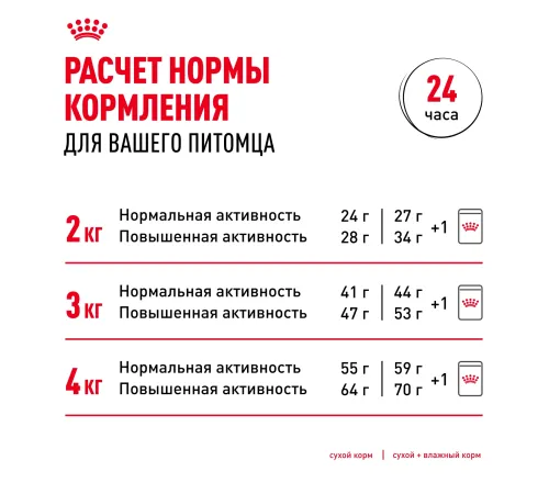 Royal Canin Chihuahua Adult 500 г