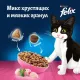 Felix Двойная вкуснятина для котят (Курица), 600 г