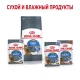 Royal Canin Light Weight Care (соус), 85 гр