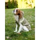 Дождевик-курточка DoggyMan, бежевый хаки, S
