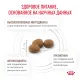 Royal Canin Gastrointestinal Kitten, 350 г