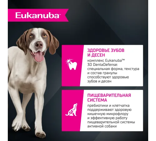 Eukanuba Adult Large Breed (Ягненок), 3 кг