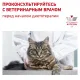 Royal Canin Renal Special Cat, 400 г