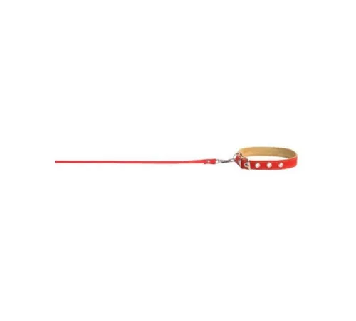 Collar Ошейник с поводком капрон Red ш 14 мм, д 120 см
