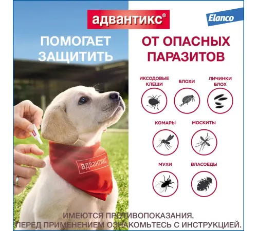 Elanco Адвантикс для собак до 4 кг, 1 пипетка