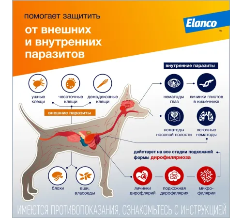 Elanco Адвокат для собак более 25 кг, 1 пипетка