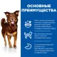 Hill's Science Plan Culinary Creations для собак средних пород (утка и картофель), 2,5 кг