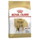 Royal Canin Beagle Adult, 3 кг