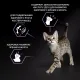 Purina Pro Plan Healthy Start Kitten (Курица), 400 г