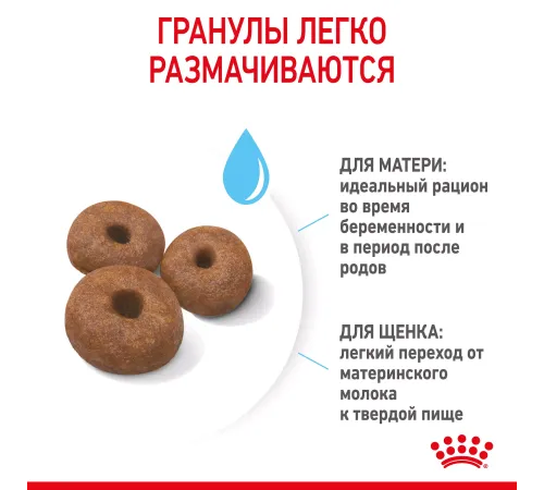 Royal Canin Giant Starter, 4 кг
