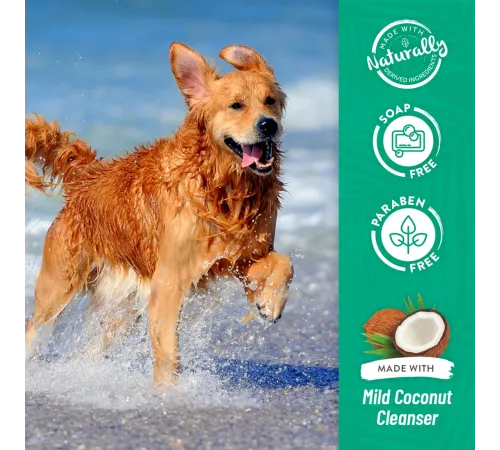 Tropiclean Шампунь Medicated Itch Relief Oatmeal & Tea Tree, 355 мл