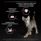 Purina Pro Plan Delicate Digestion Kitten (Индейка), 400 г