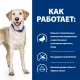 Hill's Prescription Diet d/d Food Sensitivities для собак (утка, рис), 4 кг