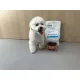 Nature's Protection Vet Diet Hypoallergenic Adult Dog (Насекомые), 1,5 кг
