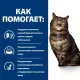 Hill's Prescription Diet k/d Early Stage Влажный корм для кошек с курицей, 85 г