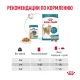 Royal Canin Ageing (желе) 11+, 85 г х 12 шт