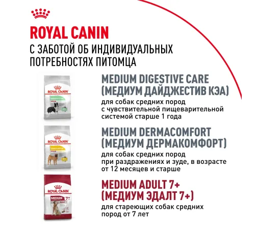 Royal Canin Medium Adult, 3 кг