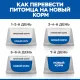 Hill's Science Plan No Grain для котят (Курица), 1,5 кг