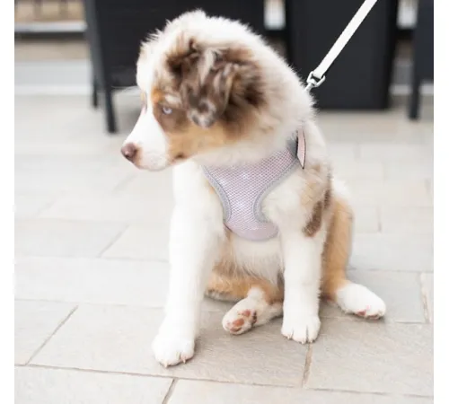 Ferplast Шлейка NIKITA P PUPPY (розовая) XXS