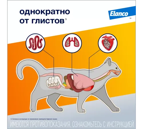 Elanco Адвокат для кошек до 4 кг, 1 пипетка