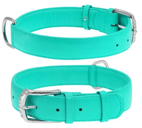 Collar Ошейник 