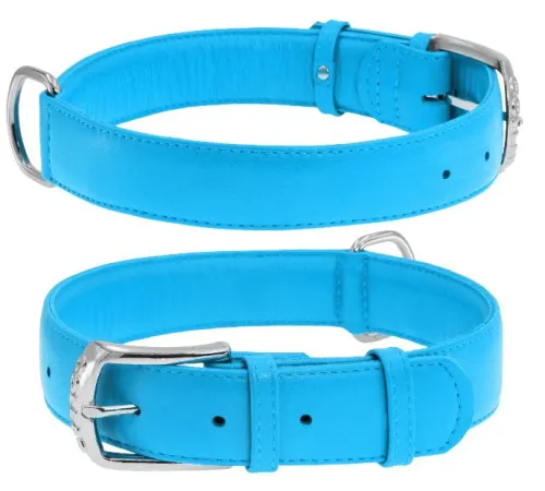 Collar Ошейник 