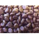 ZooRing Puppy&Junior 2 (Ягненок, рис), 10 кг
