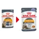 Royal Canin Hair & Skin Care (желе) 85 гр