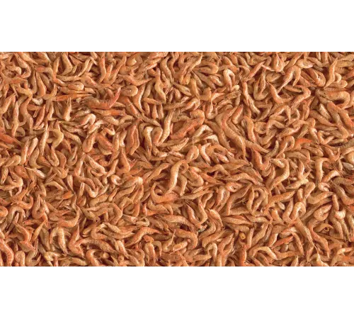 Tetra ReptoDelica Shrimps 250 мл