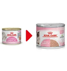 Royal Canin Mother & Babycat (мусс), 195 г