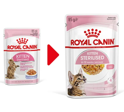 Royal Canin Kitten Sterilised (желе), 85 г х 12 шт