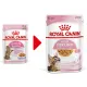 Royal Canin Kitten Sterilised (желе), 85 г х 12 шт