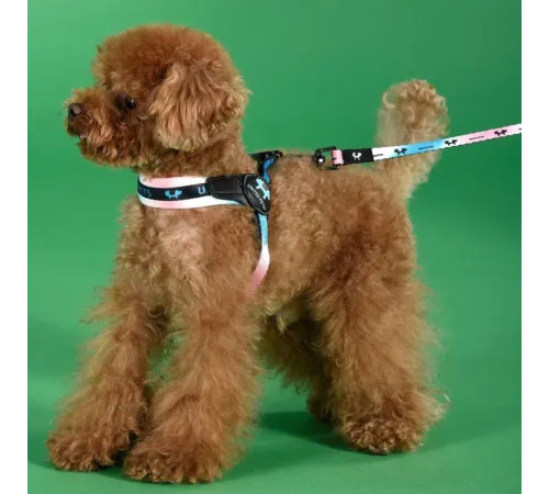 United Pets Поводок Complete me, розово-голубой тай-дай, 25 мм, 120 см