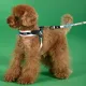 United Pets Поводок Complete me, розово-голубой тай-дай, 25 мм, 120 см